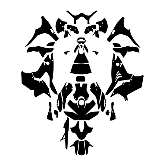 BMW M1000 RR M Performance - 2024 PPF Template - AndDesign Motocross Templates